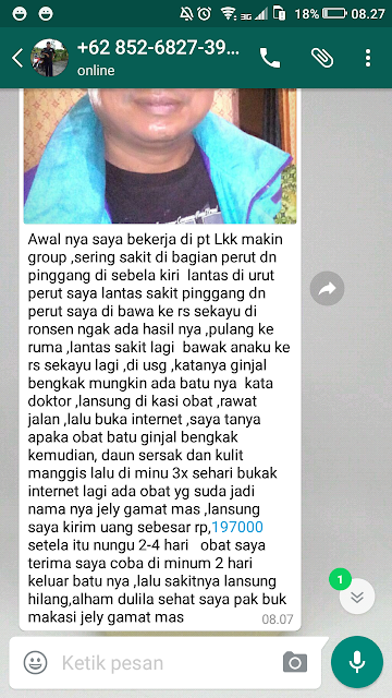 Obat Ginjal Bengkak Tradisional Obat Ginjal Bengkak Tradisional