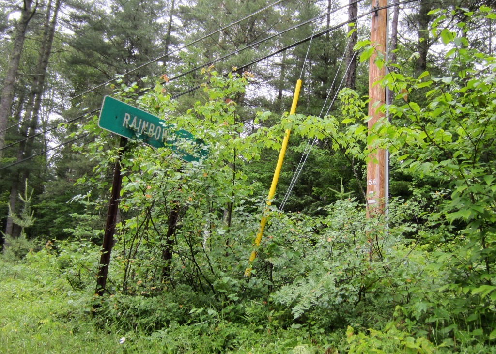 Windswept Adventure Jones Pond Road To Rainbow Lake, New York