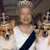 16 Celebrities Who Own Corgis