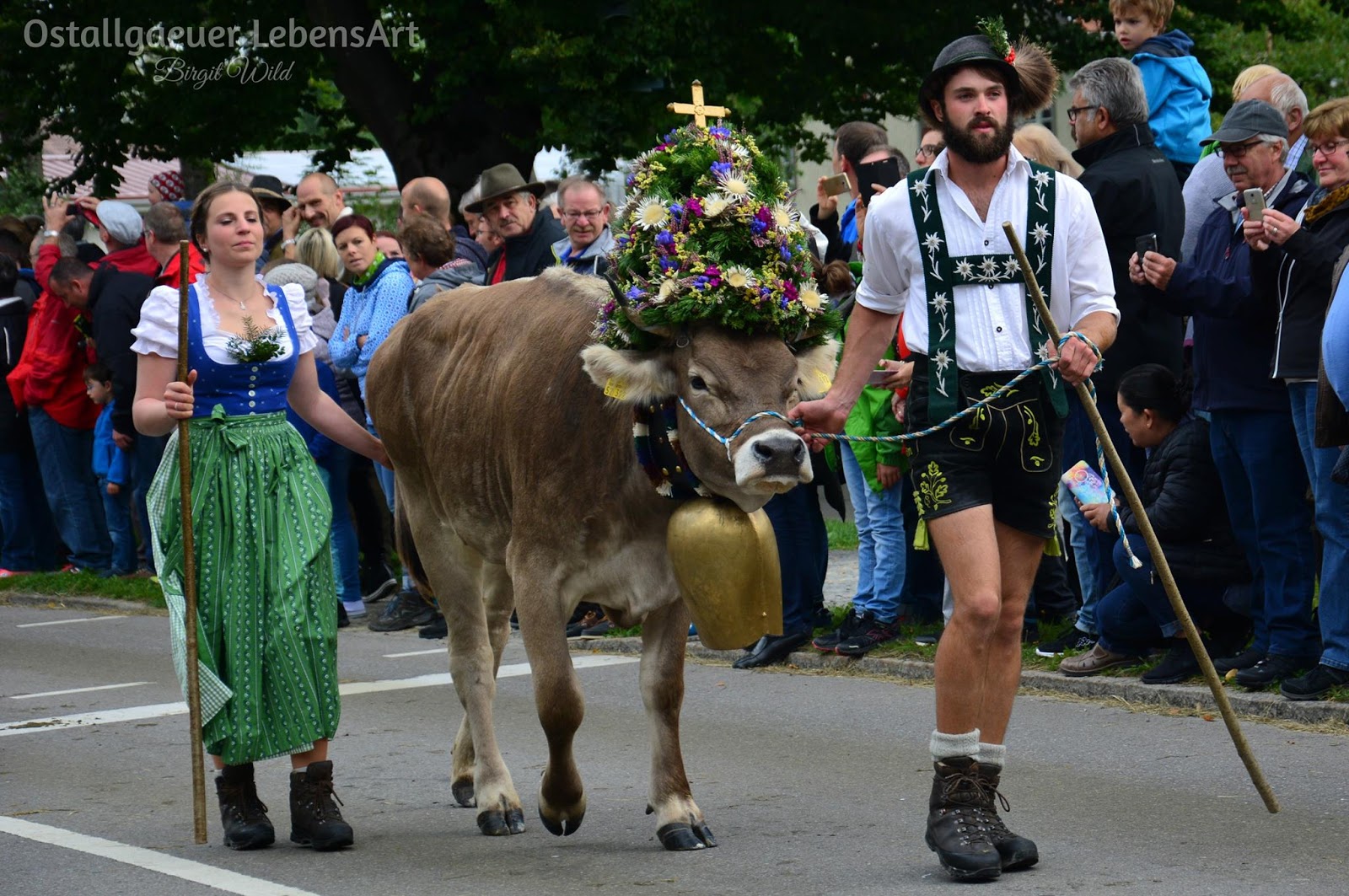 Club Der 3dcenter Suchtigen Teil 253 Archiv Seite 2
