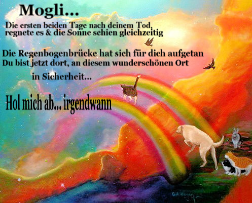 Tilly tillt ab Die Regenbogenbrücke
