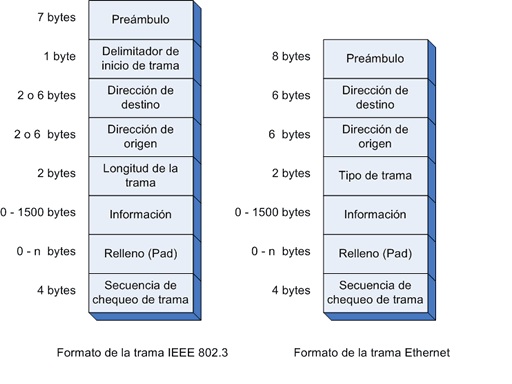 802 3 El estándar Ieee 802.3 y el Protocolo Ethernet | net do it