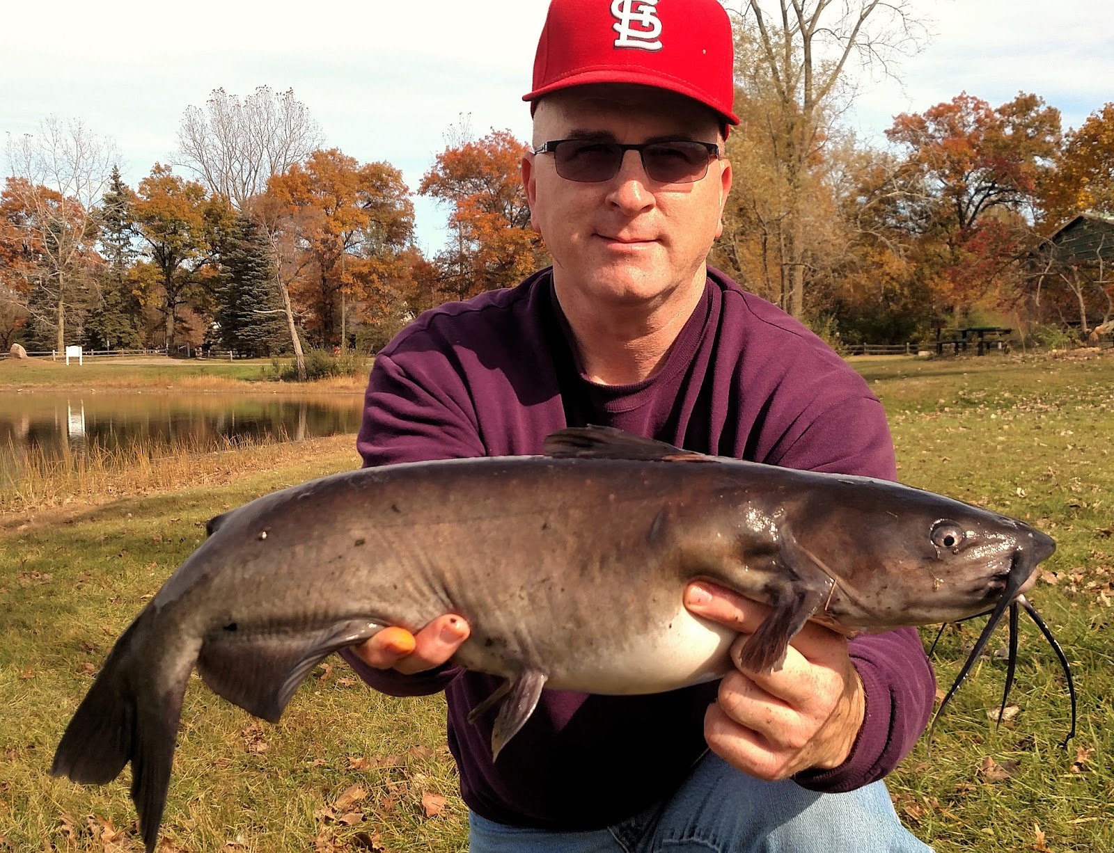 Michigan Carp Fishing Blog October 2015
