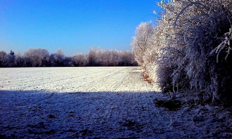Ehe Familie Und Scheidung Eltern Sein Familien Bleiben Januar