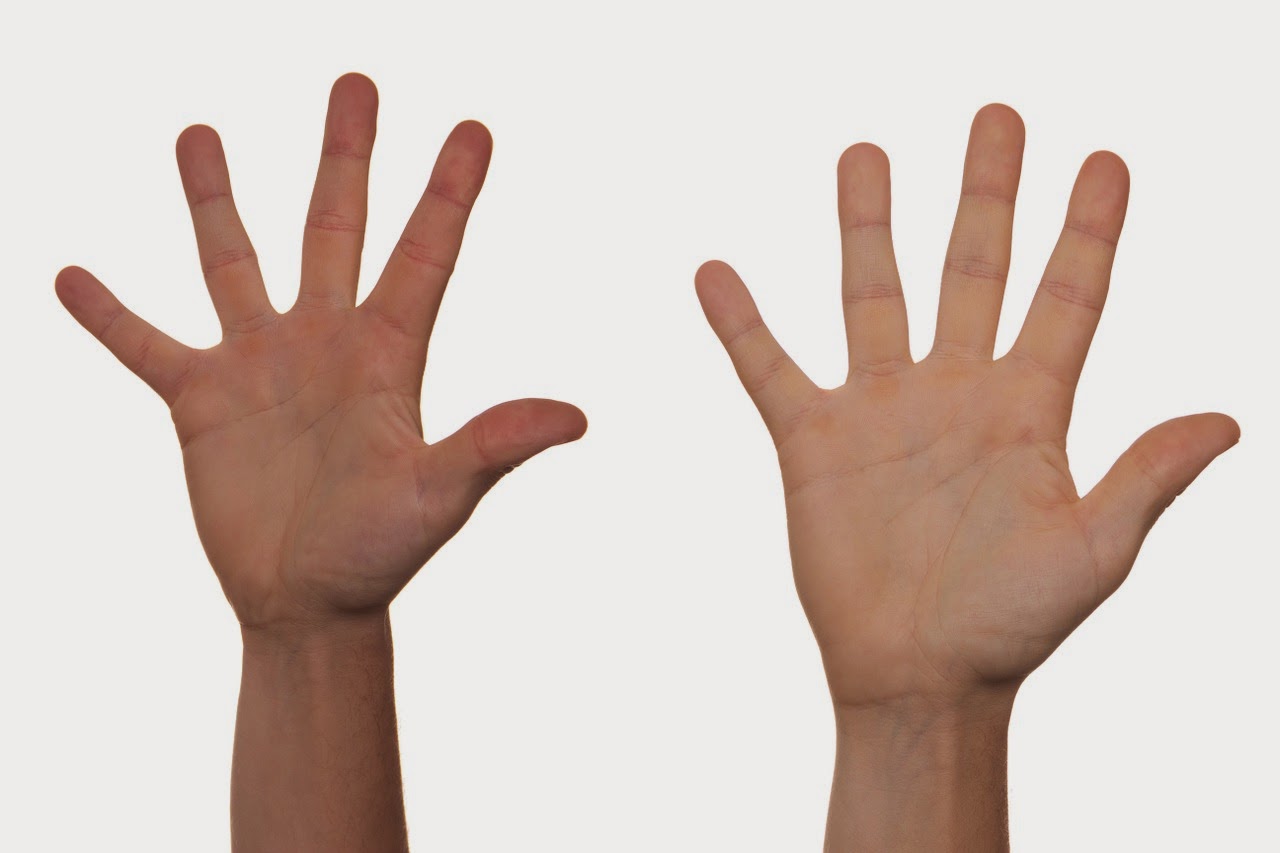 Masnutriente Raciones “a mano” El método de la mano para calcular las porciones de alimentos Masnutriente Raciones “a mano” El método de la mano para calcular las porciones de alimentos