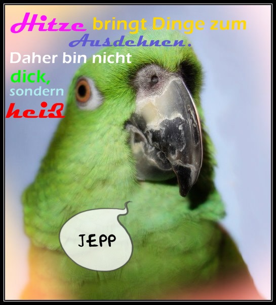 Max Papageiengeschichten 2016