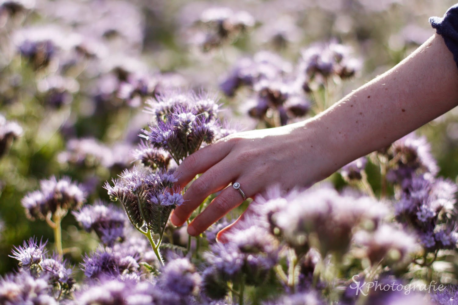 3 Bp Blogspot Com Xaj16ibjolu U70rakqhqhi Aaaaaaaaolu R0rq6rep8oo