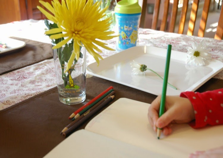 Preschool Flower Exploration- Science for Kids