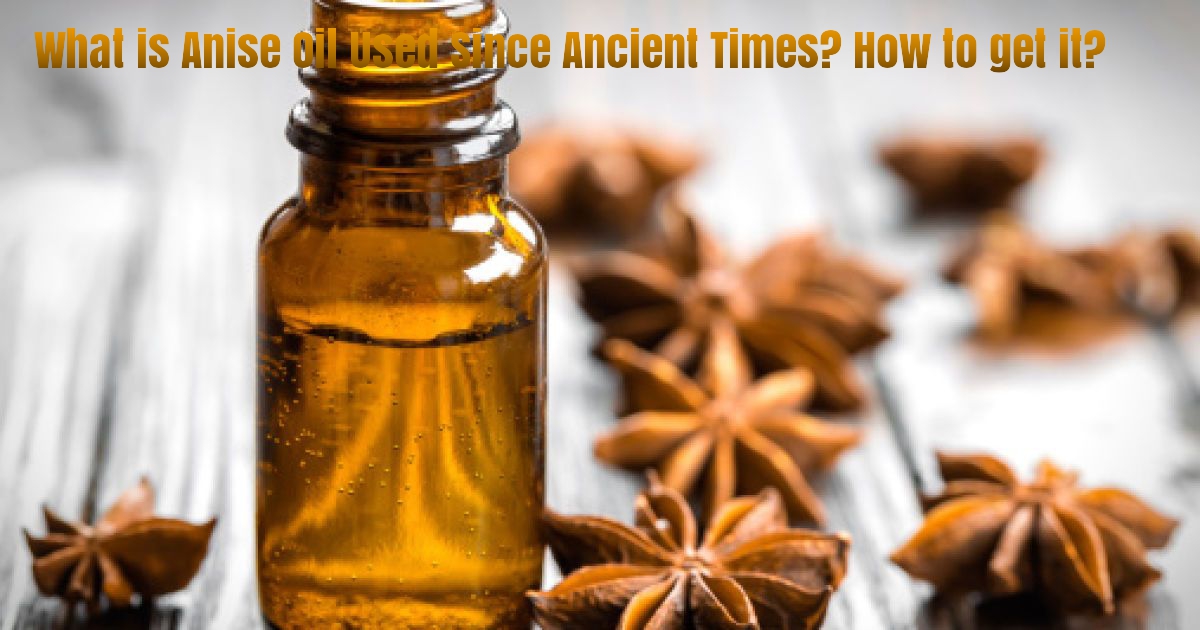 What is Anise Oil Used Since Ancient Times? How to get it? Nturalife