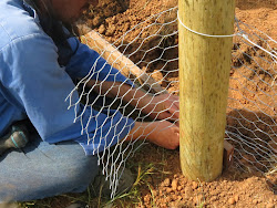 chicken wire proof fox coop bottom wood pretending farm doorway tension