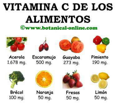 alimentos con m s vitamina c blog de plantas los mejores antioxidantes alimentos con m s vitamina c blog de plantas los mejores antioxidantes