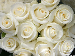 white roses desktop background 1