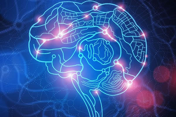 cancerquest org sintomi del cancro alla prostata