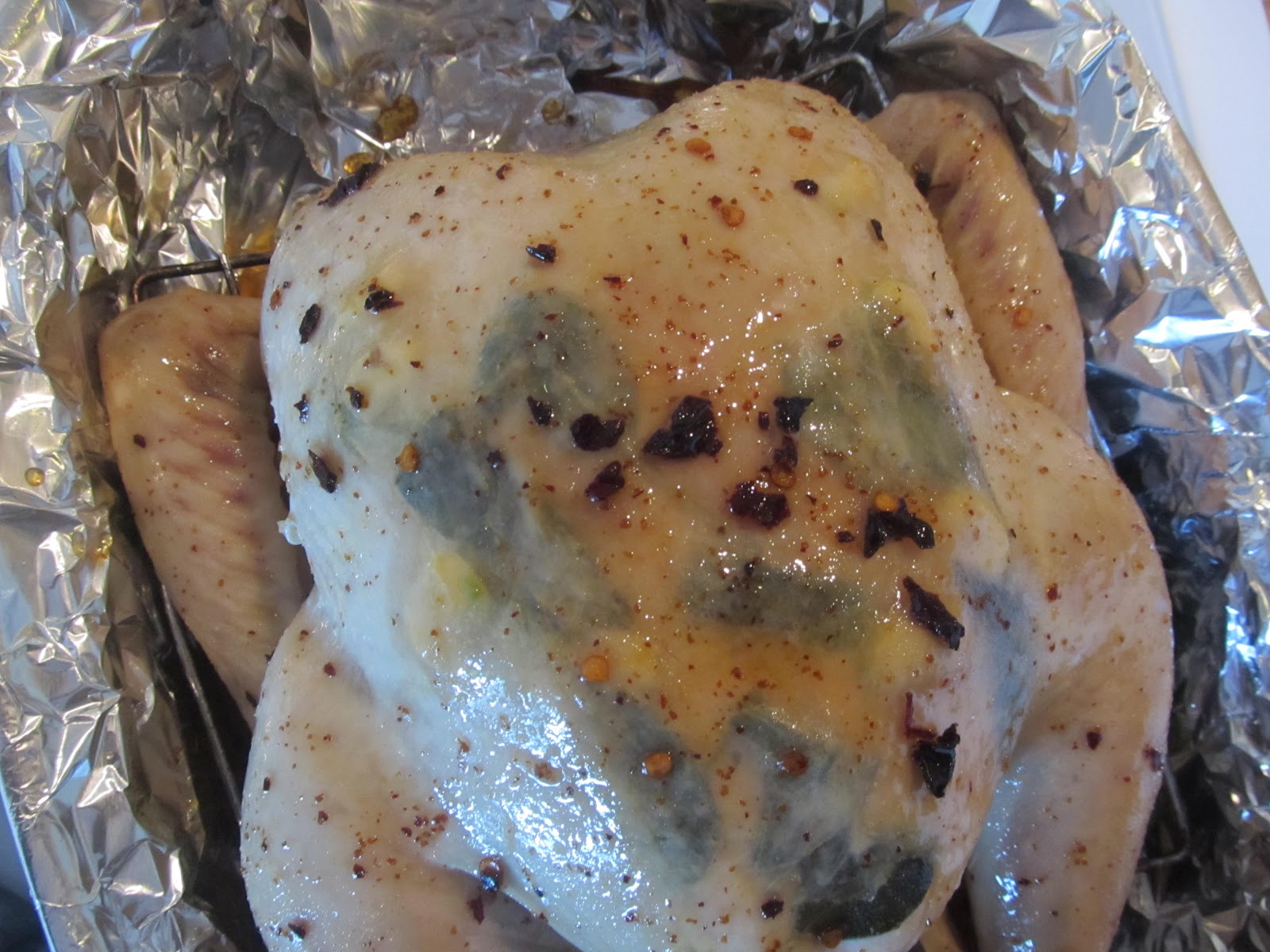 Kim's Cooking and Gardening AnchoMaple Glazed Roast Turkey with CranberryMango Relish