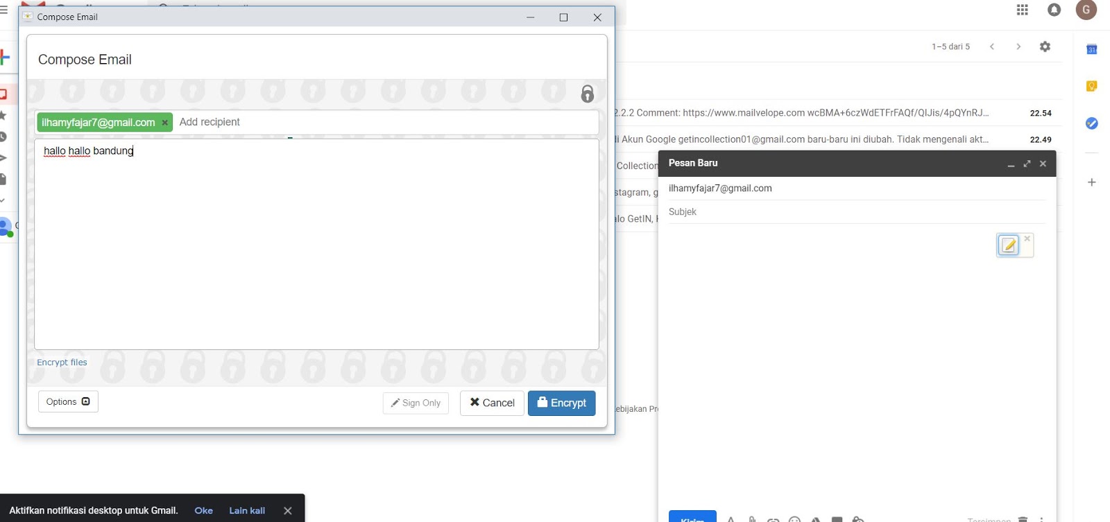 фальшивые email. Compose mail. фейковая почта. написать майрастини палва. фейковая электронная почта.