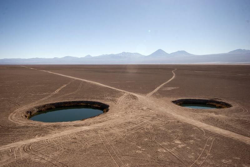The Ojos del Salar “The Eyes of the Salt Flat” Two perfectly round pools in the middle of a wide expanse of cracked earth, sand and brittle clumps of grass. 