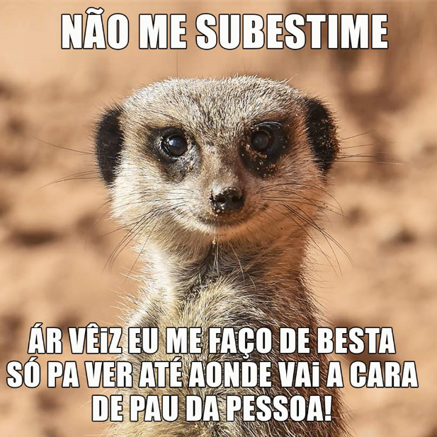 substime.png (617×618)