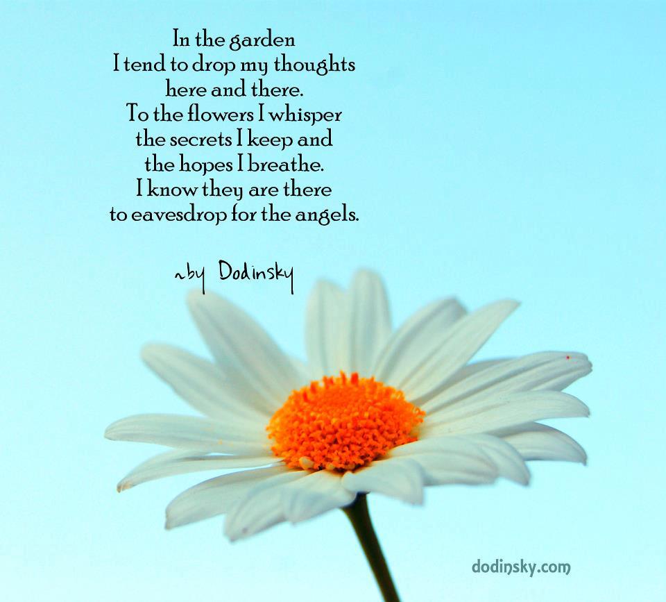 Chips off the old Block: Life's Little Instructions~~ Chips off the old Block: Life's Little Instructions~~