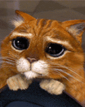 Buttenreden Lustige Vorlagen 418 Rede Beispiele Kostenlos