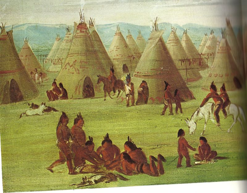 the comanche the comanche