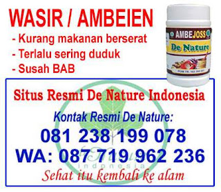 3 cara mengobati wasir selain dengan propolis