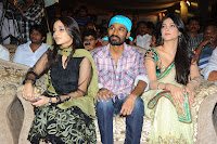 Three Audio Launch Gallery [Andhrula Music]