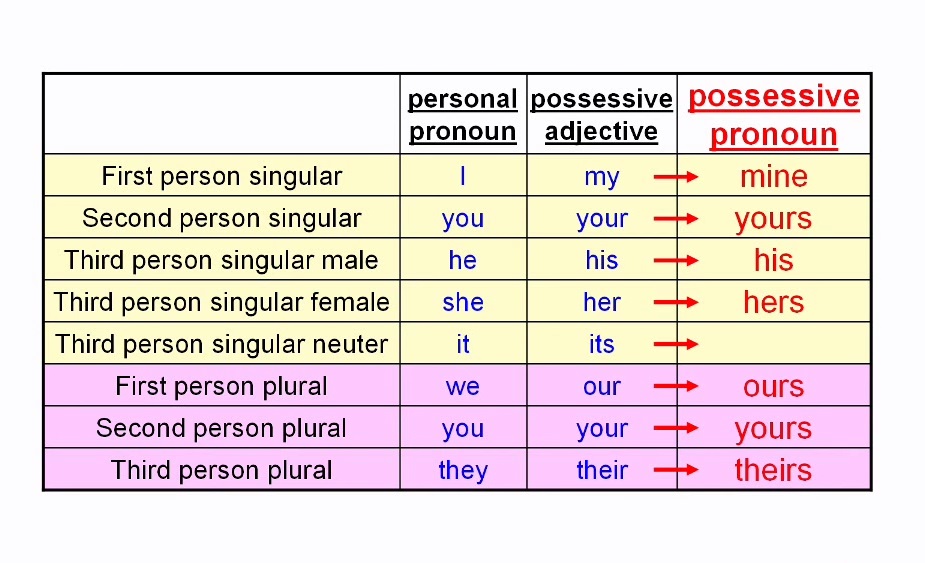 Possessive adjectives and pronouns.