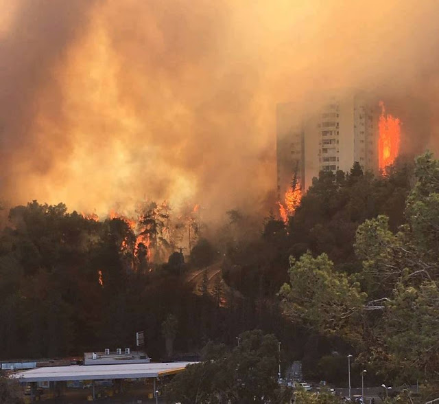 Astagfirullah, Ngeri! Kebakaran di Israel Seperti Api Neraka, Netizen: Ini Azab Dari Allah