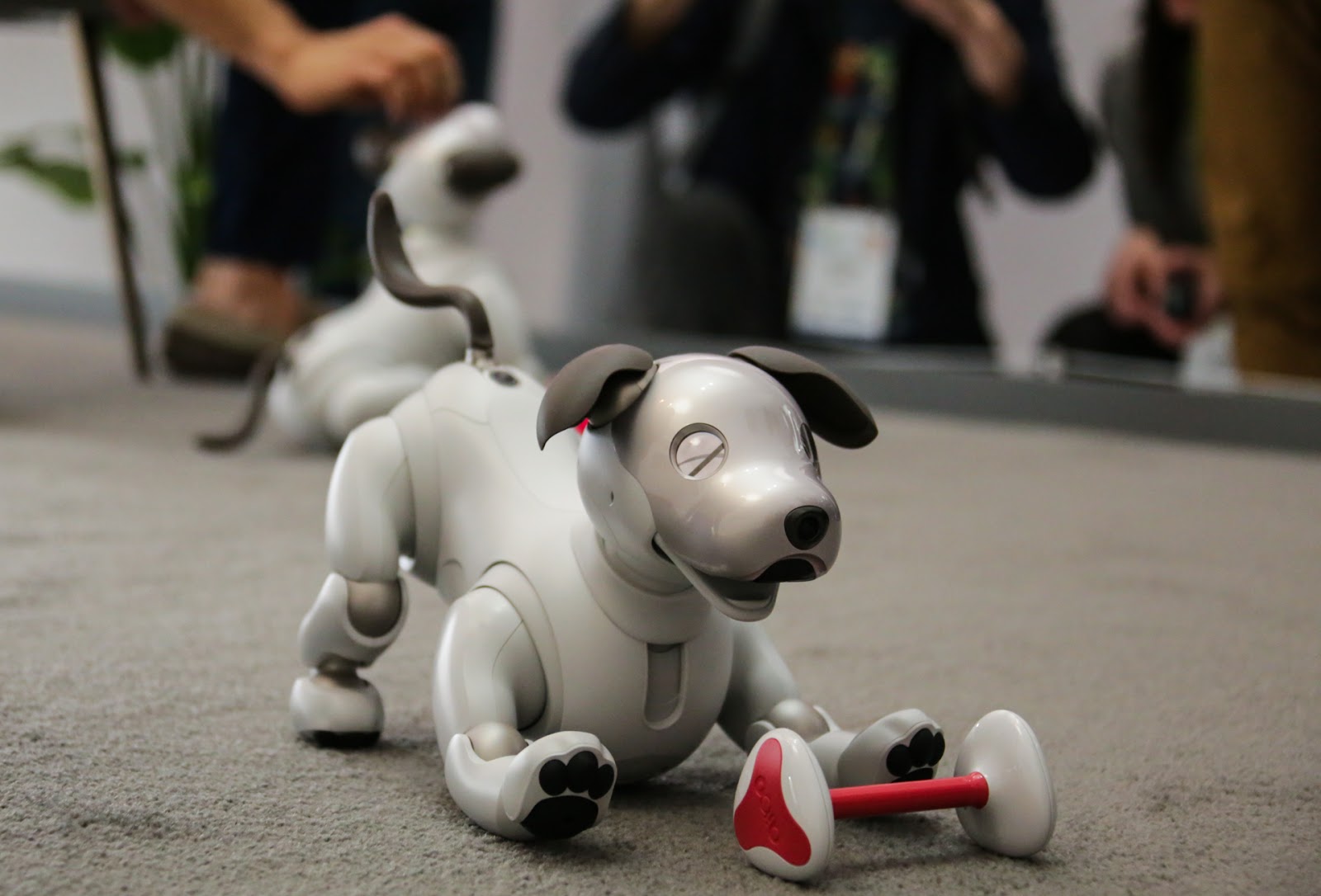 Sony's adorable new AIBO Comes to US, IN September, Price 2,899 USA