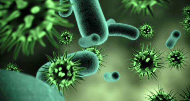 microorganismos(virus,bacterias y hongos