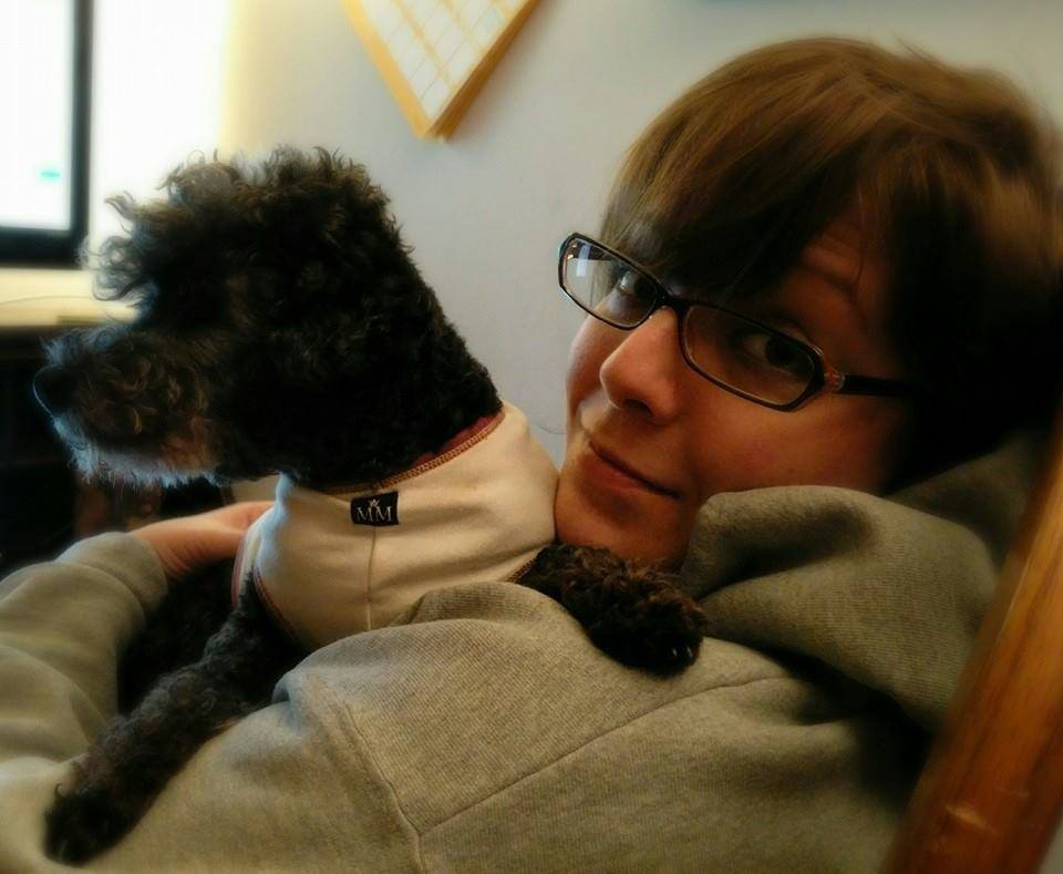 Grooming and Zooming Dog Grooming Asheville NC