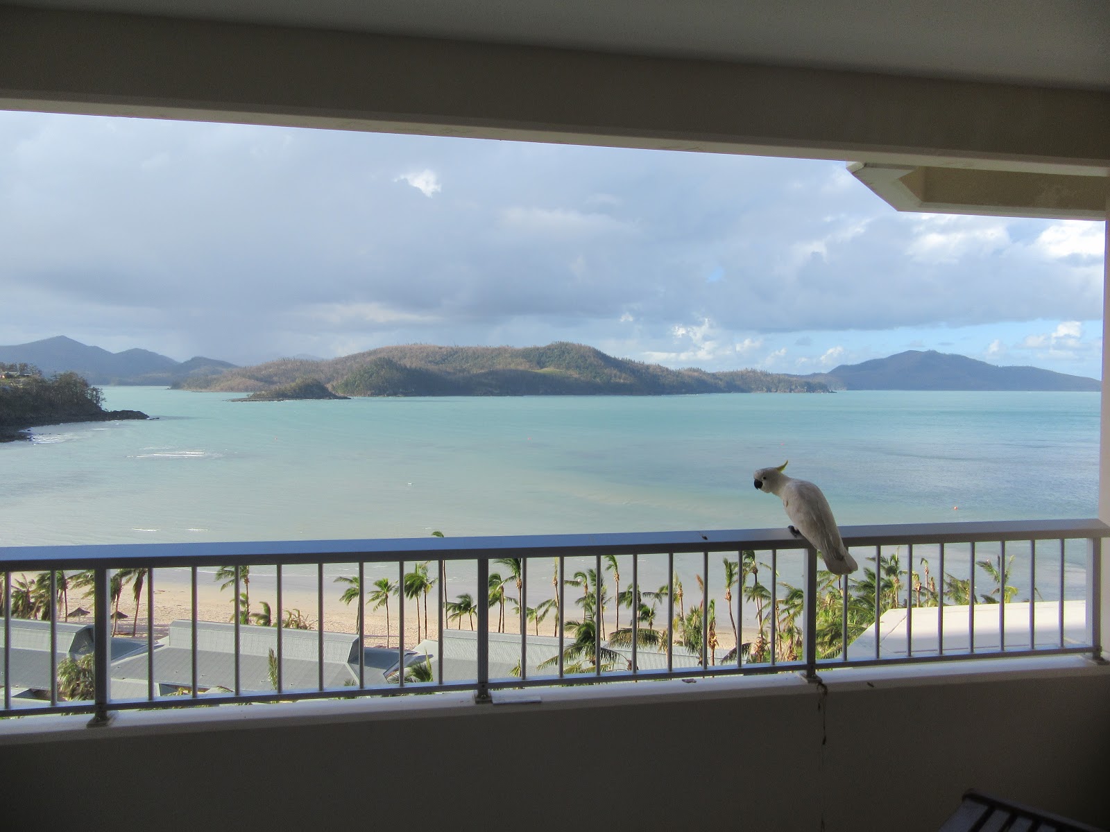 ガラスに魅せられて Charan S Blog オーストラリア旅行記 ７ ハミルトン島