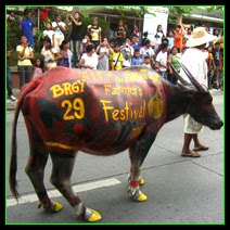 [BATAC] Ilocos Norte: A Parade of Colorfully Painted Carabaos