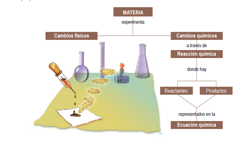 LAS REACCIONES QUÍMICAS REACCIONES QUÍMICAS