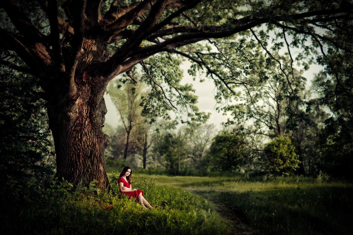 Книга среди деревьев. Девушка под деревом. Фотосессия под деревом. Большое дерево и девушка. Девочка сидит на дереве.