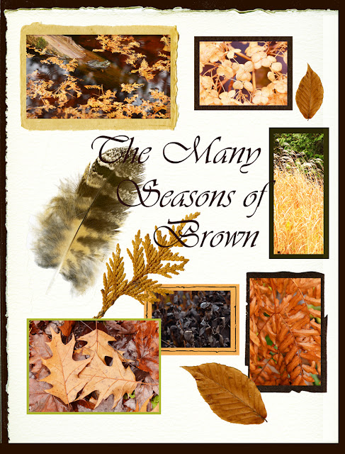 brown tones of autumn collage