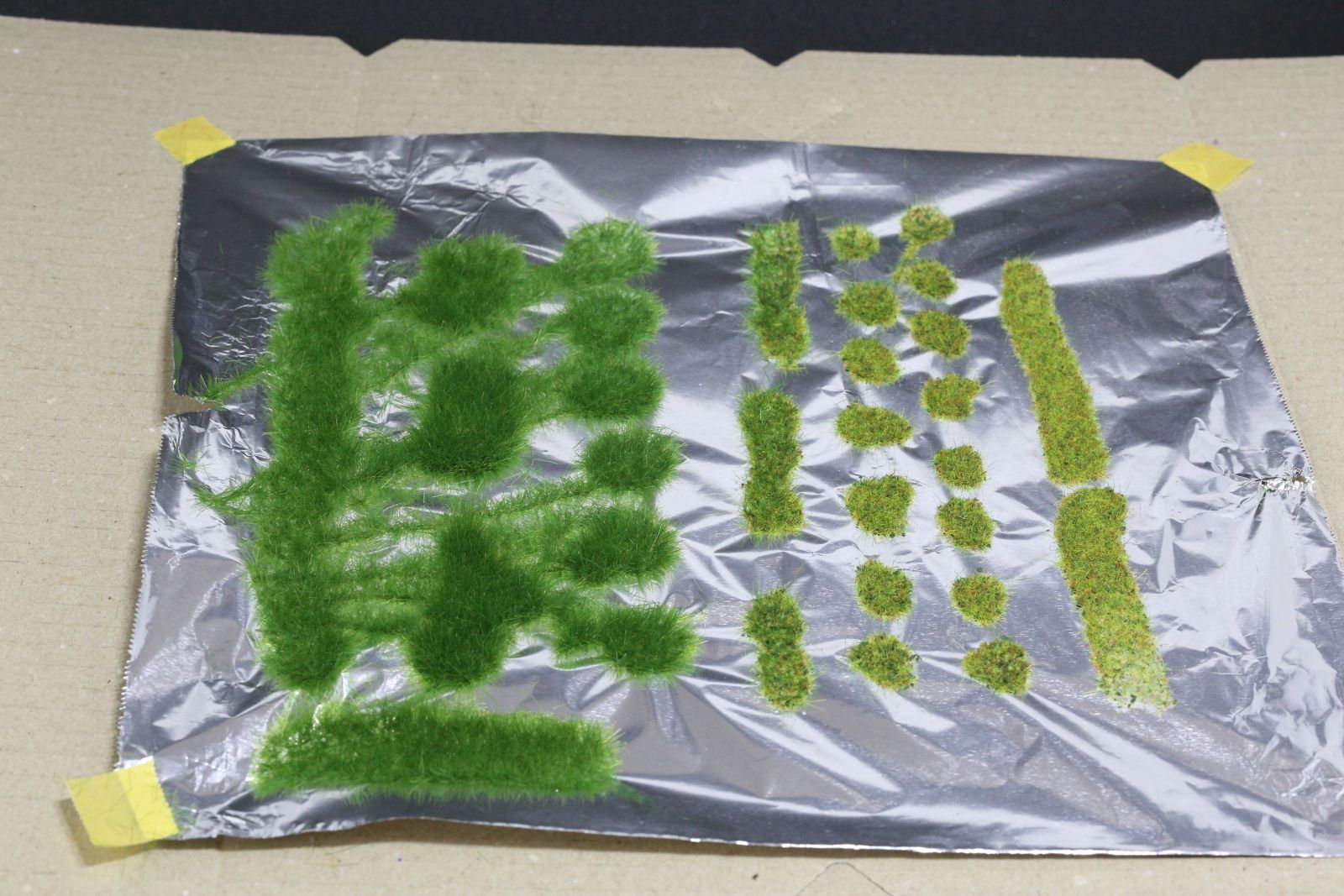 乾燥した森林: 特徴、動植物 - 乾燥した森林: 一般的な特徴