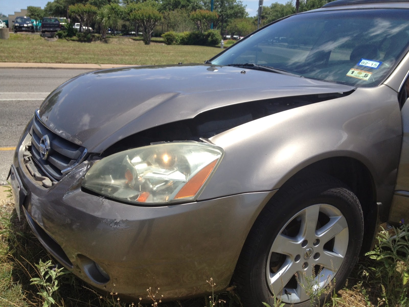 Eat Love Procreate Fender Benders and Fluffy New Friends