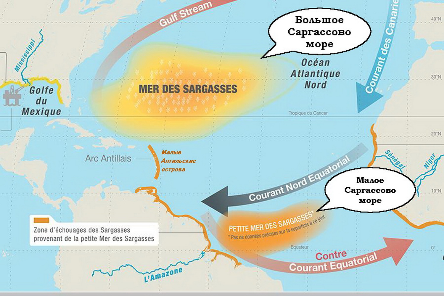 Саргассово море на карте мира
