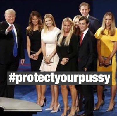 Protect%2BYour%2BPussy.jpg