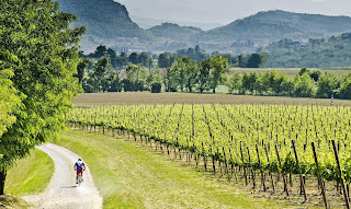 Primavera in Franciacorta 2017 Primavera in Franciacorta 2017