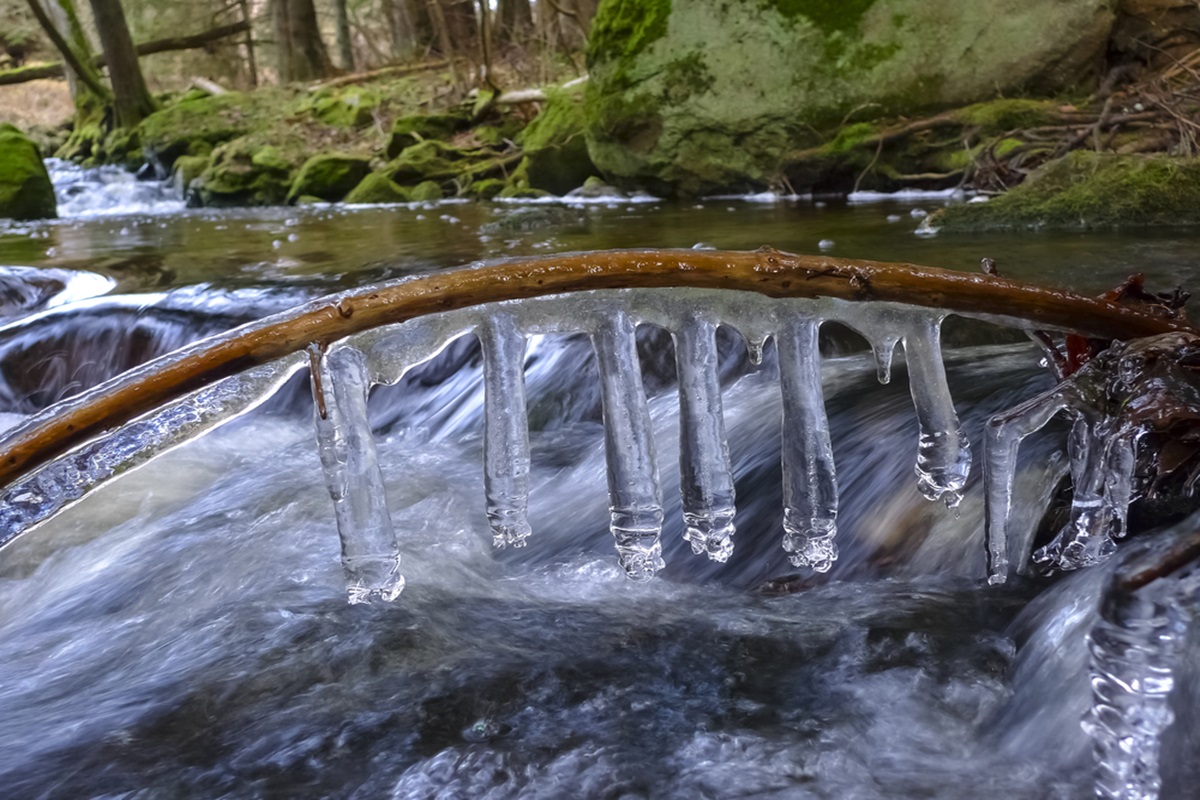 Best way to ever cook a whole chicken + laundry day. The s. Thaw cachorra. Thaw перевод с английского. Whether the weather is.