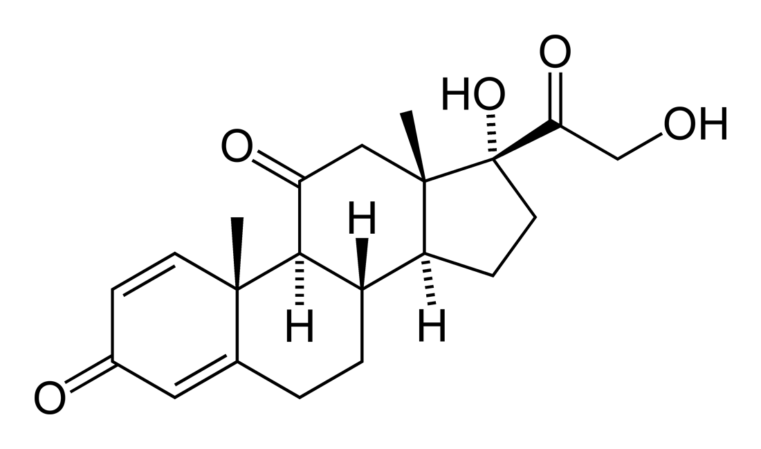 Caderno de Medicina: Esteróides: os lipídios que são hormônios