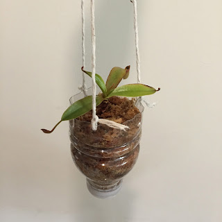 Mission accomplished! DIY Hanging Pot