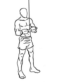 Agarre Barra de Polea V Triceps y Mas - Promart