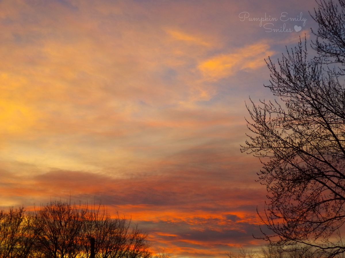 Beautiful sunset