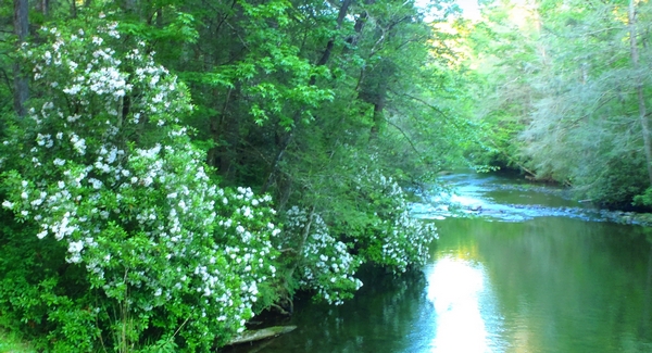 River Bend on the South Saluda River in Greenville County South Carolina by DearMissMermaid.Com