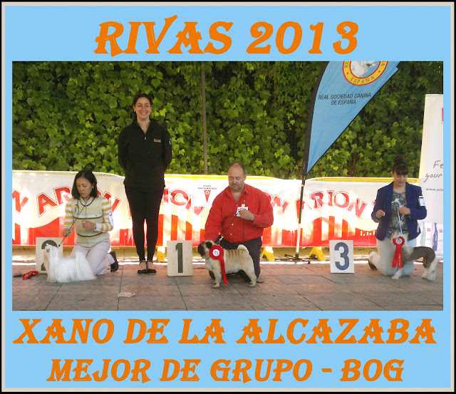 Concurso Nacional Canino Rivas Vaciamadrid. Podium Mejor de Grupo 