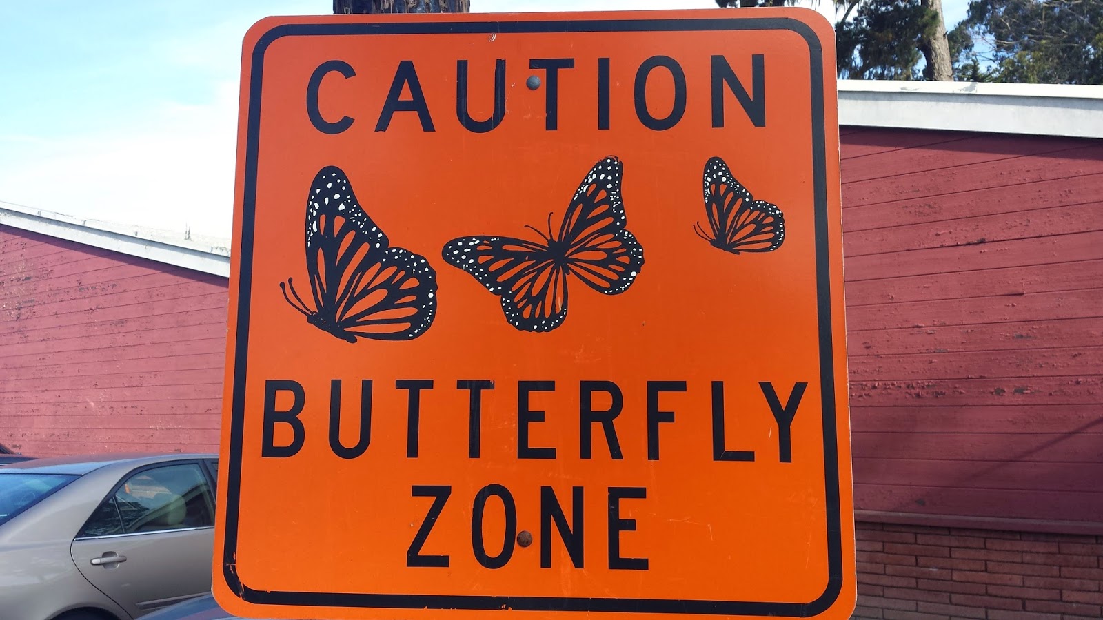 The Write Place CAUTION Butterfly Zone