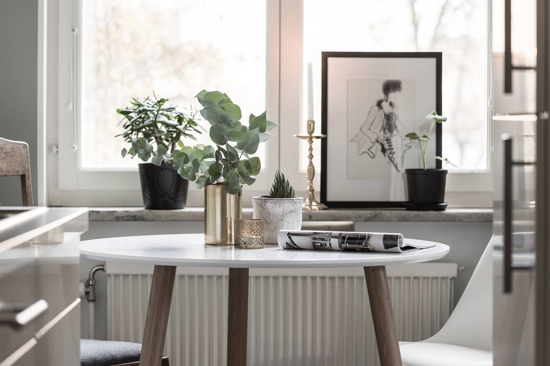 PLANTES SUR MONOCHROME